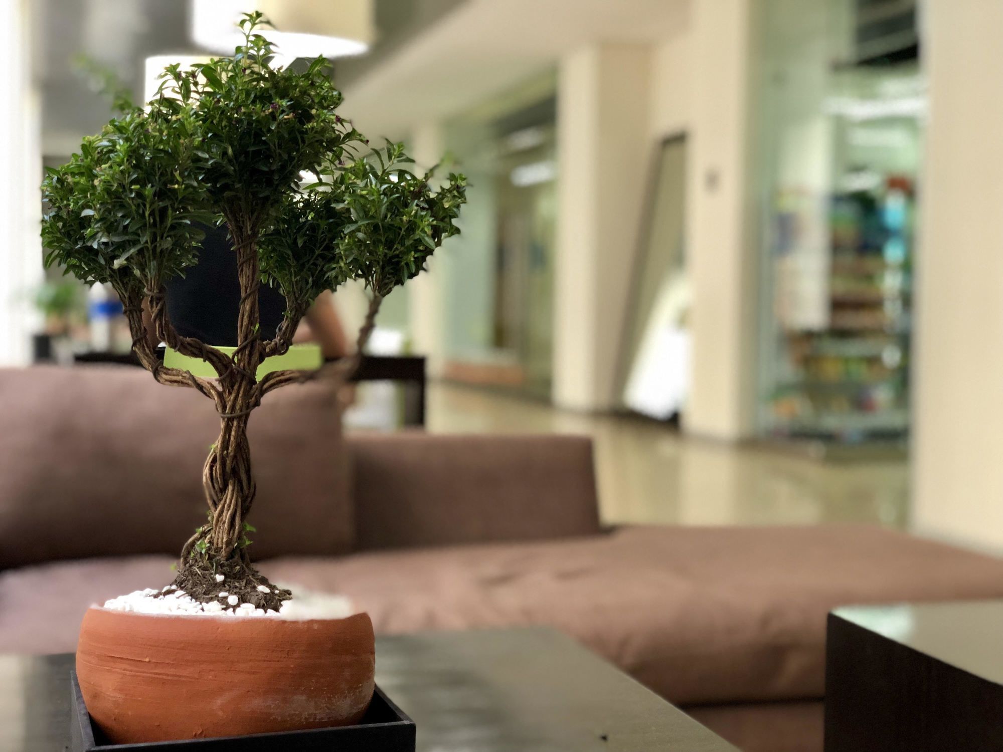 Appartement Downtown 3 K Mexico-stad
